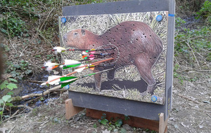 Championnat du Finistère NATURE